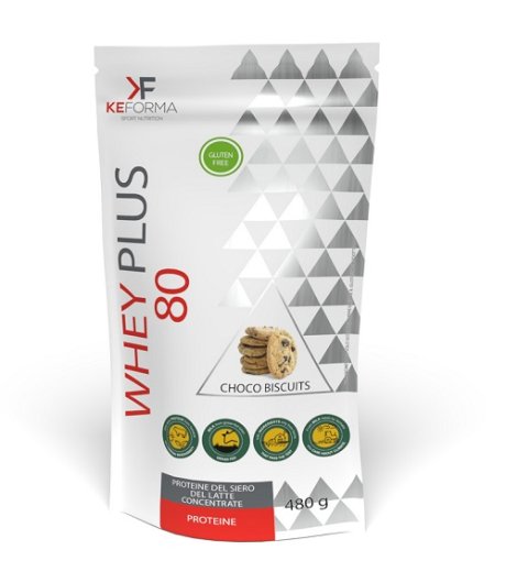 WHEY PLUS 80 CHOCO BISCUIT480G