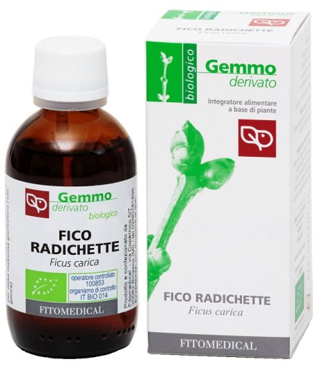 FICO RADICHETTE GD 50ML BIO