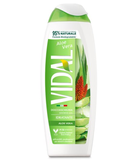 VIDAL NEW D/S ALOE VERA 250 ML