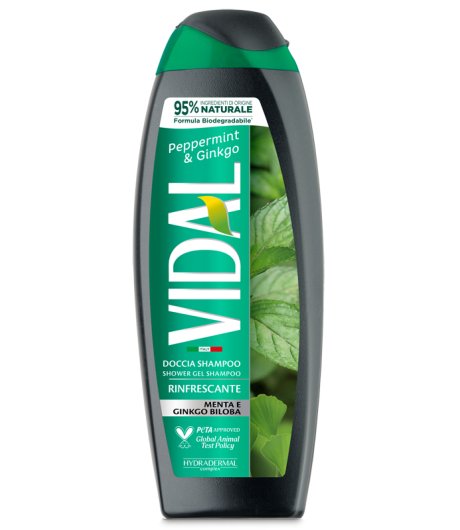 VIDAL NEW D/S MINT & GINKGO 250ML