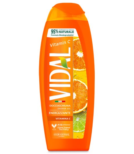 VIDAL NEW D/S VITAMINA C 250 ML