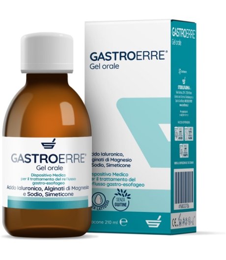 GASTROERRE 210ml