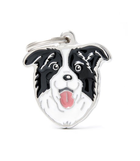 MY FAMILY MEDAGLIETTA BORDER COLLIE (REF. MF03N)