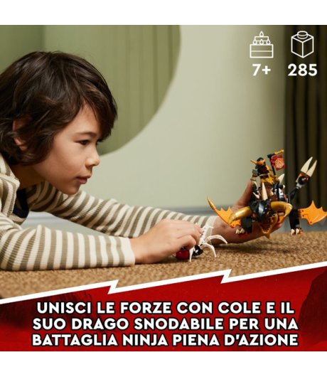 LEGO 71790 CAVALIERE DEL DRAGO