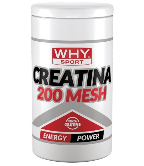 WHYSPORT CREATINA 200 MESH500G