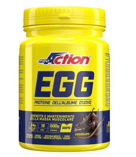 PROACTION EGG FIT PROTEIN CIOC 500G PROACTION EGG FIT PROTEIN CIOC 500G