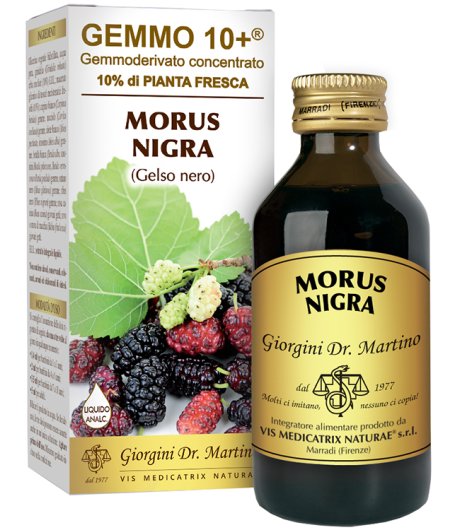 MORUS N(GELSO NER) AN GEM 10+ 100ML
