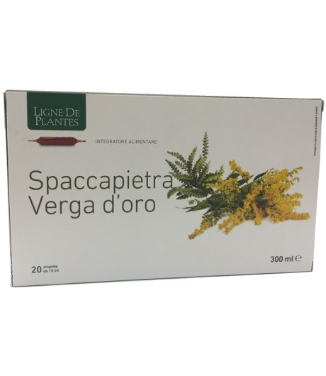 SPACCAPIETRA VERGA 20AMP