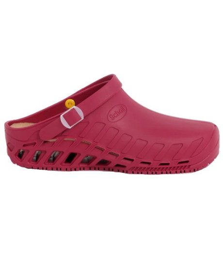 CLOG EVO TPR UNISEX WINE 39/40