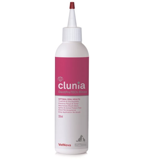 CLUNIA DENTPROTECH RINSE 236ML - VETNOVA