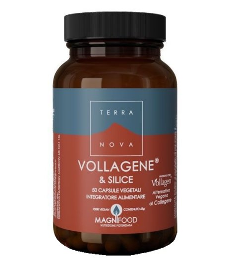 TERRANOVA VOLLAGENE&SILIC50CPS TERRANOVA VOLLAGENE&SILIC50CPS