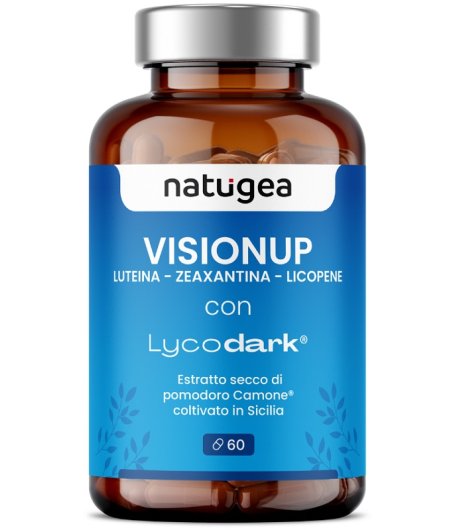 VISIONUP 60CPR
