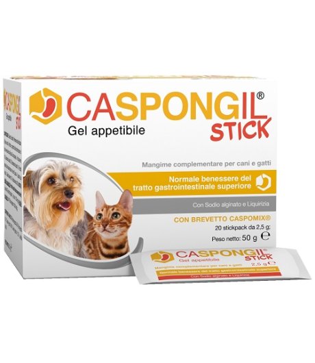CASPONGIL STICK 20Stick Pack