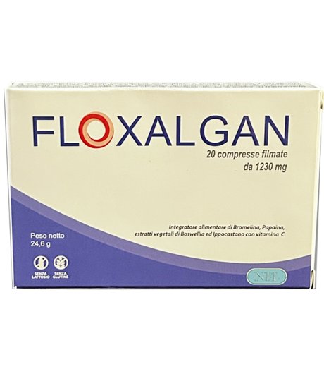 FLOXALGAN 20CPR