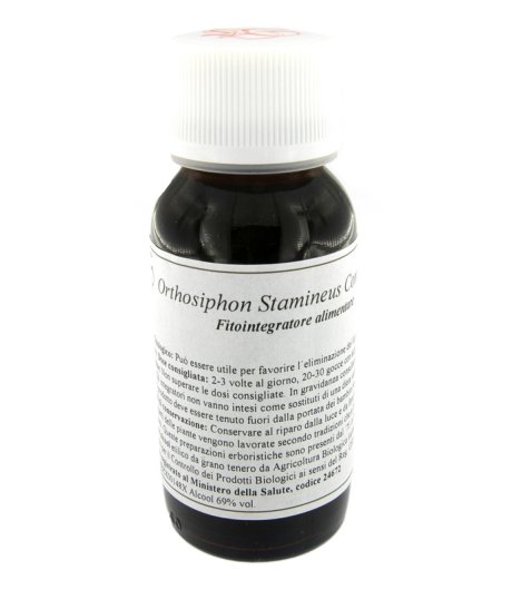 VILLA STODDARD 65S 60ML ORTHOSIPHON