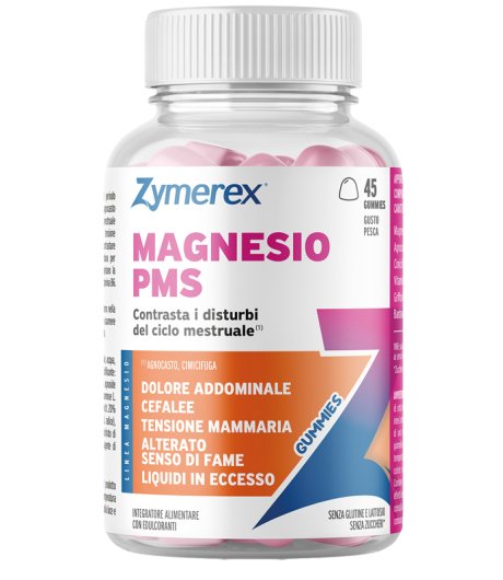ZYMEREX GUM MAGNESIO PMS 45GOM ZYMEREX GUM MAGNESIO PMS 45GOM