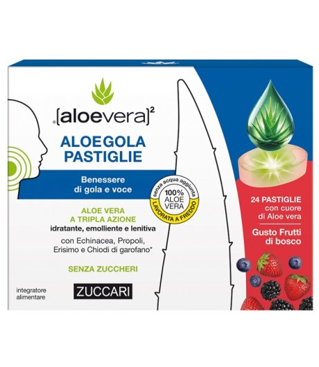 ALOEGOLA FRUTTI ROSSI 20PAST