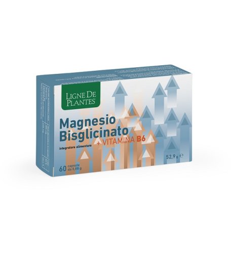 LIGNE MAGNESIO BIS+VITB6 60CPS LIGNE MAGNESIO BIS+VITB6 60CPS
