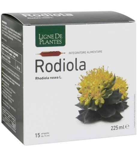 RODIOLA 15AMP 15ML NF