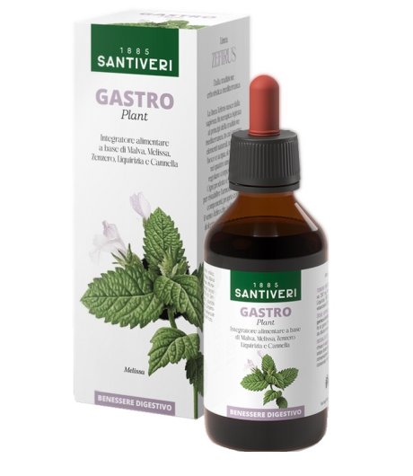 GASTRO PLANT ZEFIRUS 100ML NF