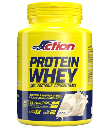 WHEY CONCENTRATE PROTEIN VANIG 750G