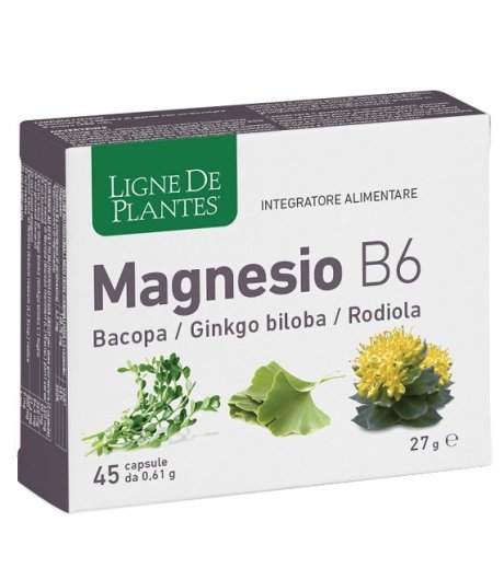 LIGNE MAGNESIO B6 BACOPA 45CPS LIGNE MAGNESIO B6 BACOPA 45CPS