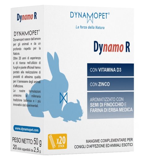 DYNAMO R 20STICK 2 5G