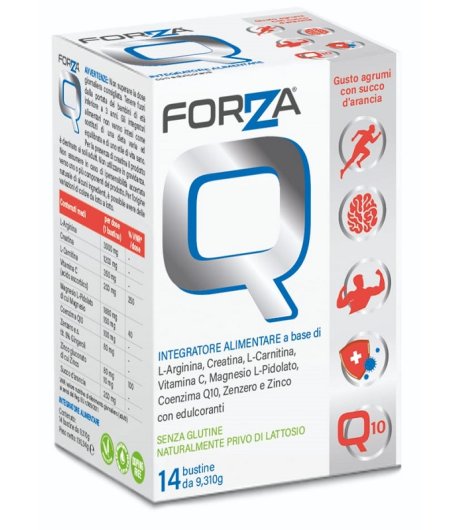 FORZA Q 14 Bust. FORZA Q 14 Bust.