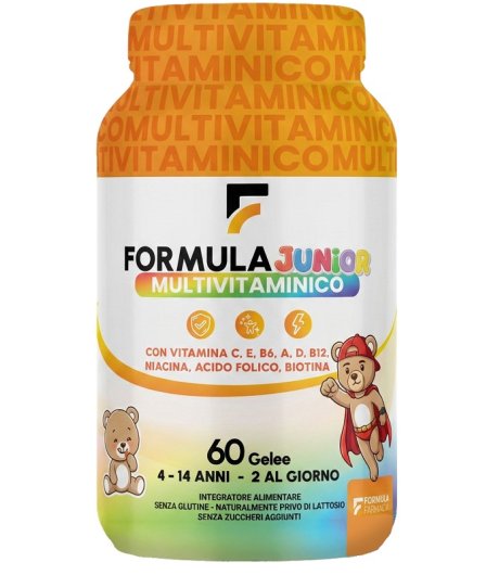 FORMULA MULTIVITAMINICO J 60PZ FORMULA MULTIVITAMINICO J 60PZ
