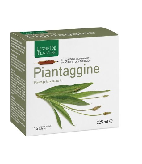 PIANTAGGINE 15AMP 15ML NATURA