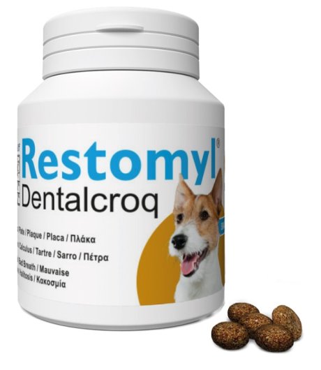 RESTOMYL DENTALCROQ 60GR CANE 60GR - INNOVET