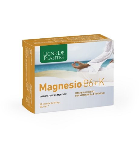 MAGNESIO B6 + K 60CPS NATURA S