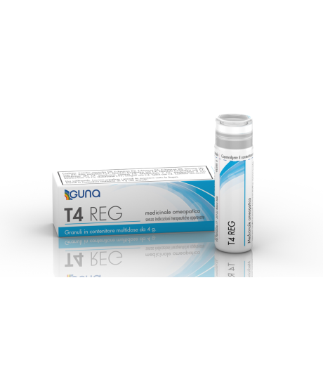 T4 REG*4G 80GR CONT MULTID