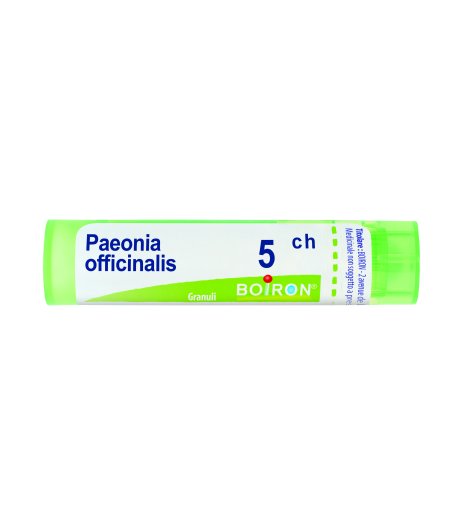 PAEONIA OFF*GRAN 5CH 4G AIC