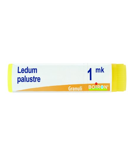 LEDUM PALUSTRE*GLOB MK AIC