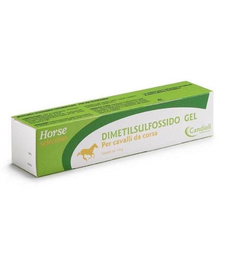 DIMETILSULFOSSIDO-GEL 100ML VET