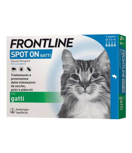 Frontline*4pip Gatti