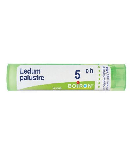 Ledum Palustre 5ch Gr