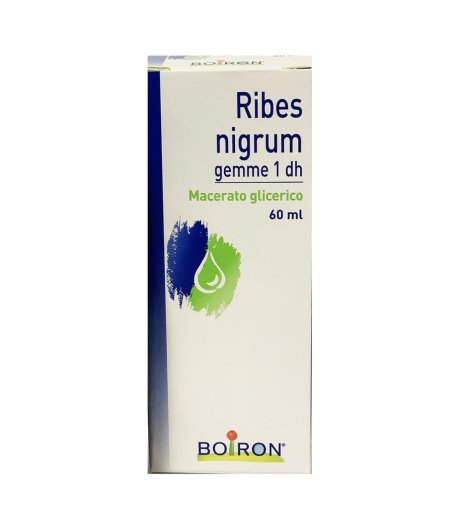 Boiron Ribes Nigrum Gemme Macerato Glicerico Medicinale Omeopatico 60ml 