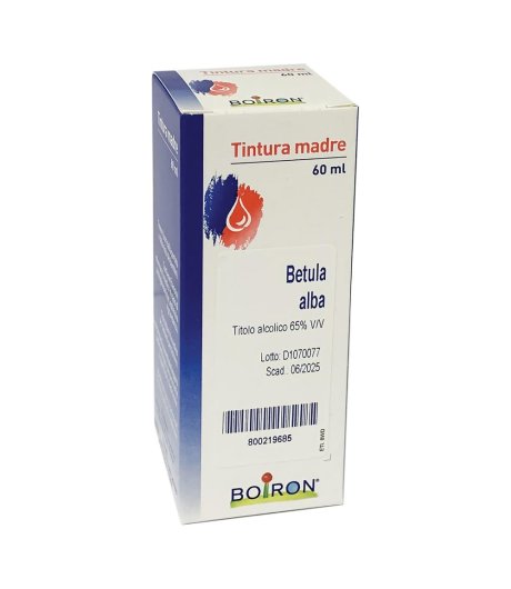 Betula Alba 60ml Tm