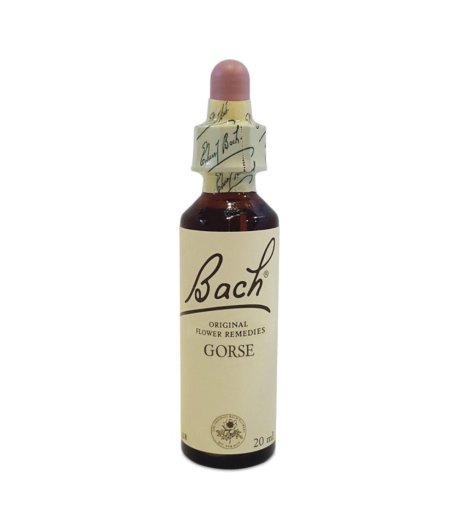 BACH CENTER ESS GORSE 20ML