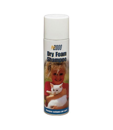 DRY FOAM SH GATTI 250ML