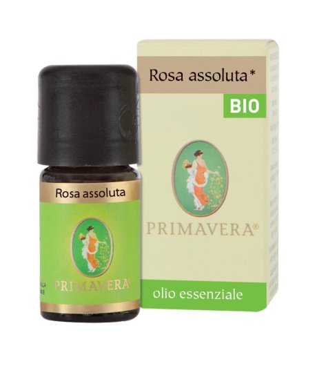 ROSA TURCA ASS CONV OLIO ES FLOR