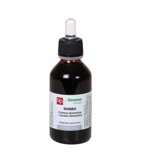 SORBO 100ML MG FTM<