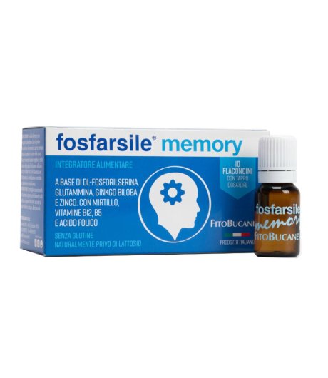 FOSFARSILE MEMORY INT 10FLNI