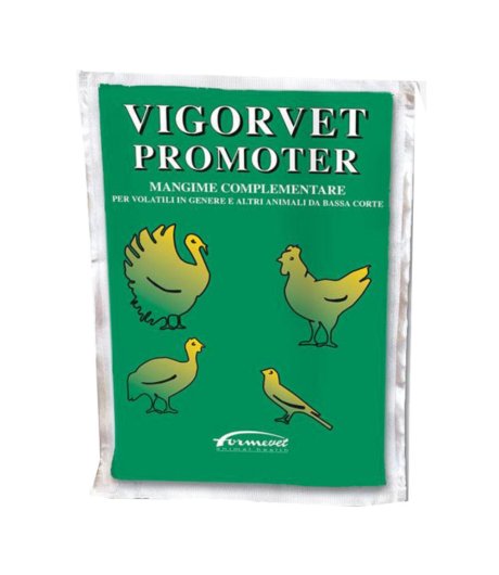 VIGORVET PROMOTER 100G