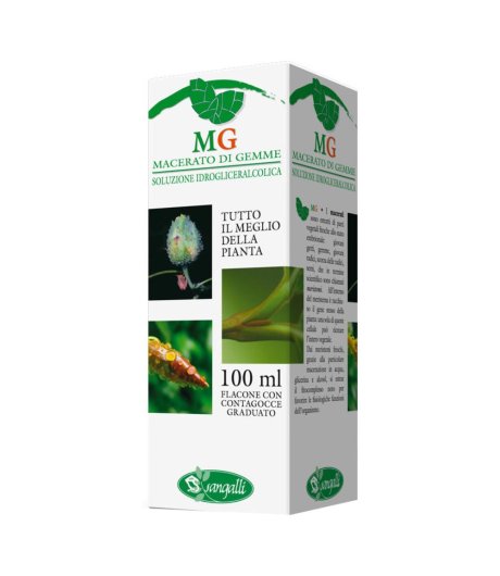 BETULA VERRUCOSA 100ML MG