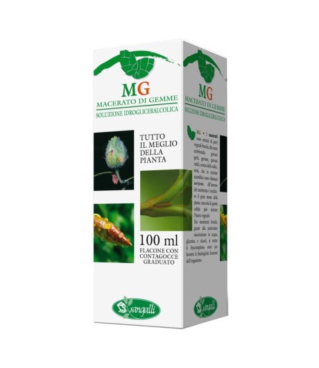 IPPOCASTANO 100ML MG