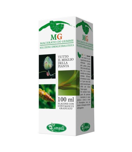 VITE 100ML MG