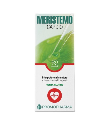 MERISTEMO INKAS 2 100ML